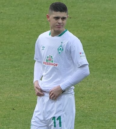 How many professional clubs has Rashica played for excluding youth careers?