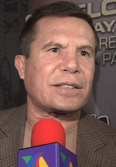 How many title fights has Chávez had?