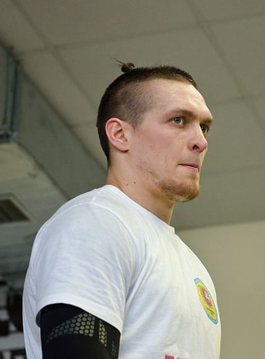 How many current or former world champions had Usyk defeated by 2019?