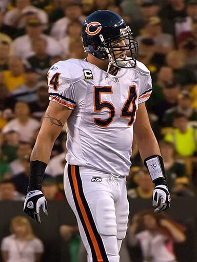 In which division of the NFL did Urlacher's team, the Chicago Bears, play?
