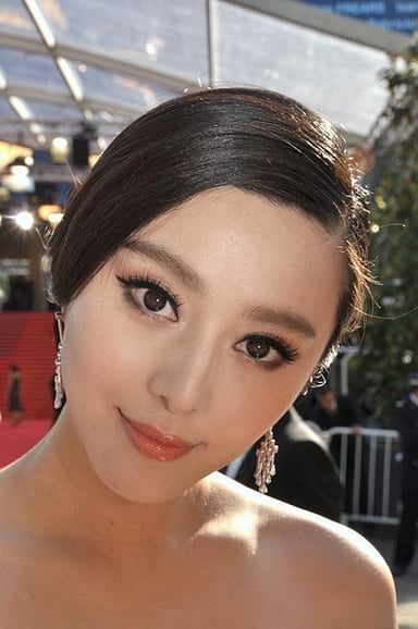 What are some of Fan Bingbing's professions?
