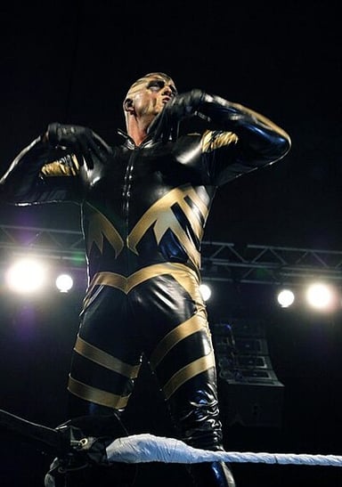 Dustin Rhodes has appeared in how many Royal Rumble matches, as of my knowledge cutoff?