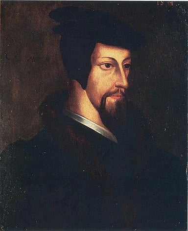 What are John Calvin's most famous occupations?