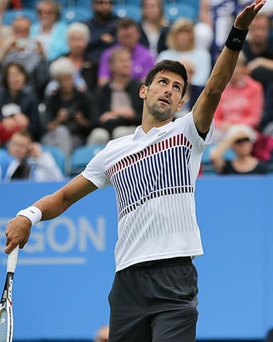 What does Novak Djokovic look like?