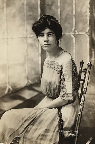 Which amendment did Alice Paul help pass?