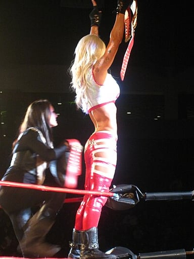 Aside from TNA Knockouts Championship, what other women's world championship has Angelina Love won?