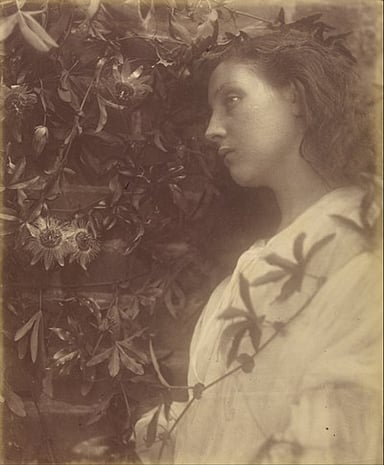 What were Julia Margaret Cameron's photographs particularly noted for?