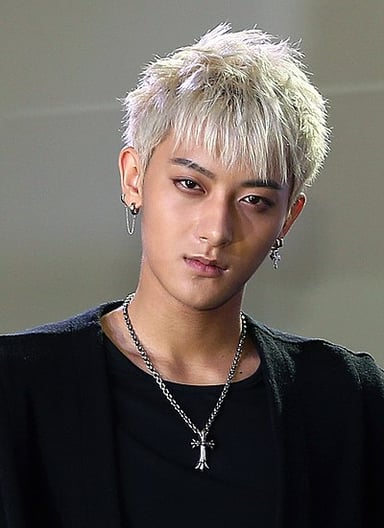 What type of martial art does Huang Zitao practice?