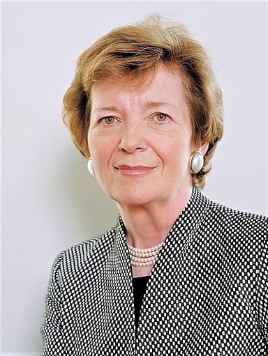In what year did Mary Robinson begin her term as president?
