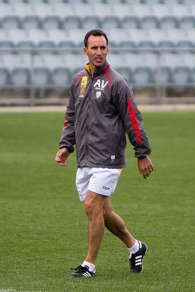 Aurelio Vidmar was an interim coach for which Socceroos team?