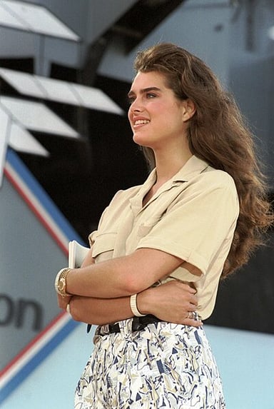 Which famous artist painted a portrait of Brooke Shields?