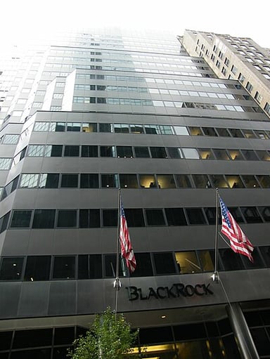 What is BlackRock's primary business?