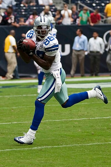 How many receiving touchdowns did Dez Bryant have in his career?