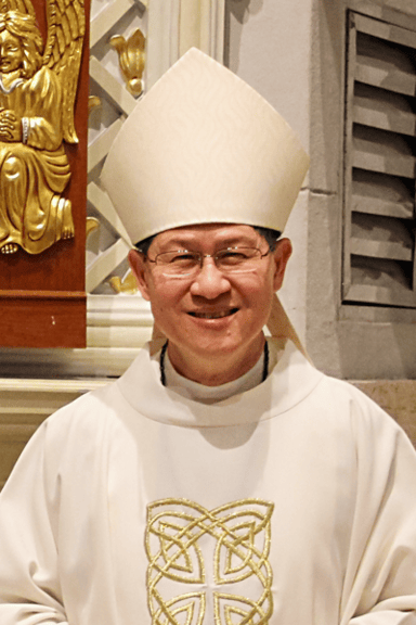 Which section does Tagle serve as a pro-prefect?