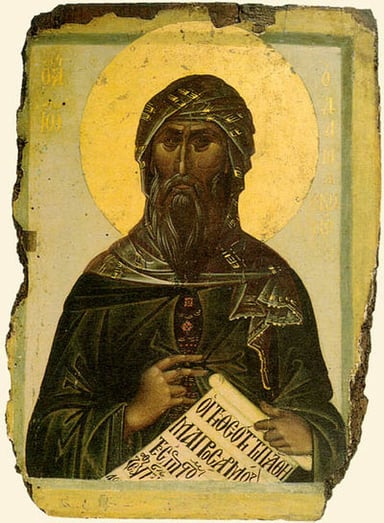 What is John of Damascus's role known as in Catholic theology?