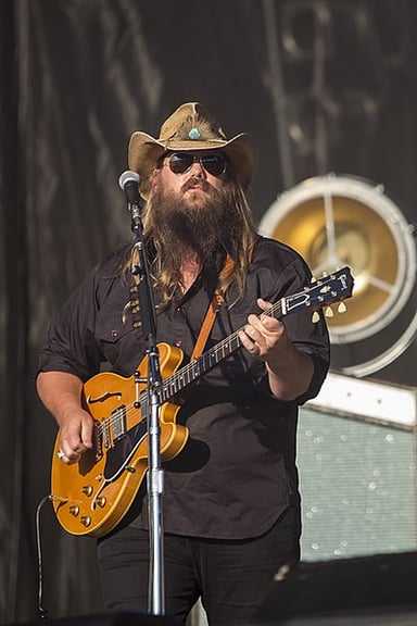 Which artist did Chris Stapleton co-write the song "Drink a Beer" for?