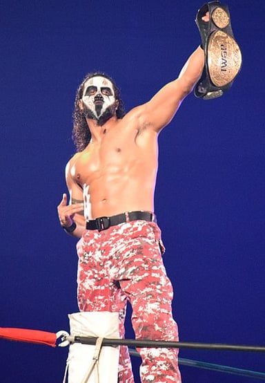 Who was Tama Tonga's partner in Guerrillas of Destiny?
