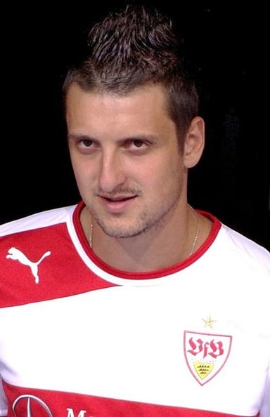 Where was Zdravko Kuzmanović born?