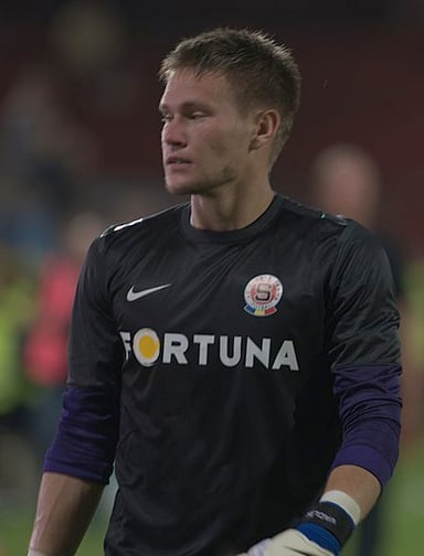 What color is Vaclík’s goalkeeper jersey for the Czech Republic?
