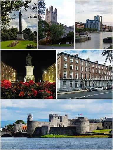 Which famous castle can be found in Limerick?