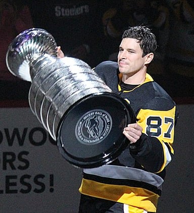 What does Sidney Crosby look like?