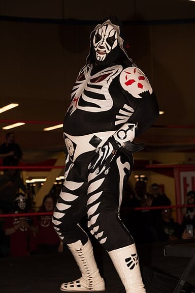 What was the result of the match between the original and the new La Parka at Triplemanía XVIII?