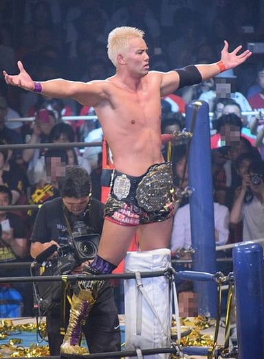 Which championship is Okada a one-third holder of currently?