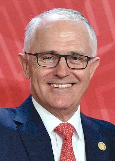 What was the outcome of the same-sex marriage plebiscite that Turnbull initiated and campaigned for?
