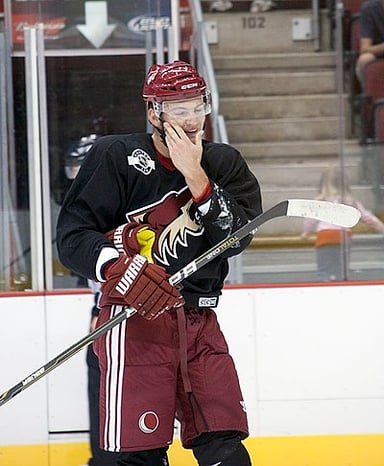 How many times have the Arizona Coyotes made it to the playoffs?