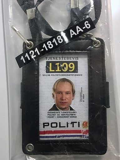How many credit cards did Breivik use to access credit for the attacks?