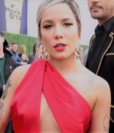 Aside from music, what causes has Halsey been involved in?