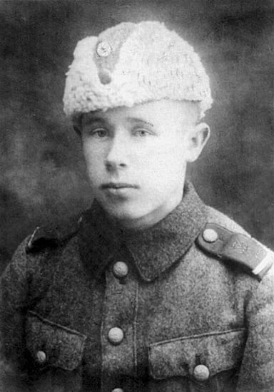 By which type of combat is Simo Häyhä's kill count majorly attributed?