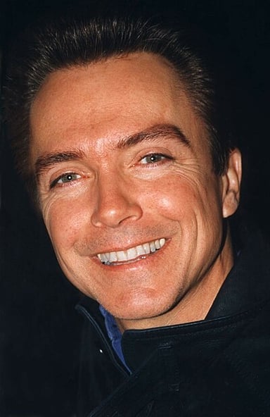 David Cassidy was also known for his career in what else besides acting?
