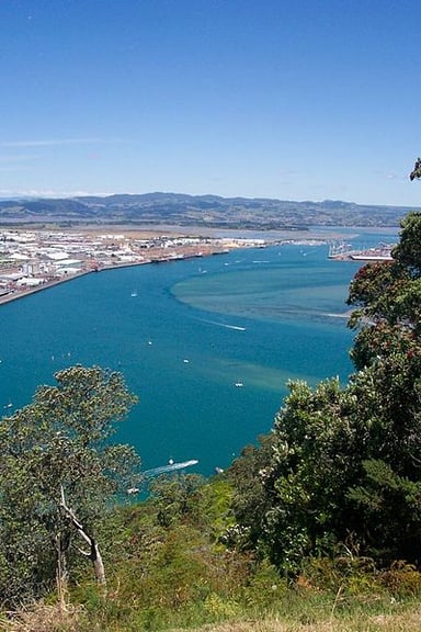 What is the total area of Tauranga City?