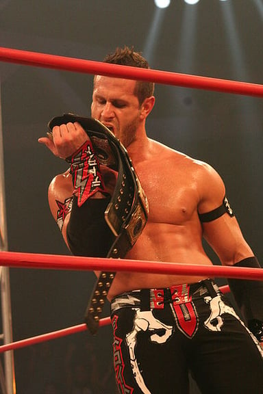 What title has Alex Shelley won with Chris Sabin?