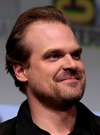 What is the city or country of David Harbour's birth?
