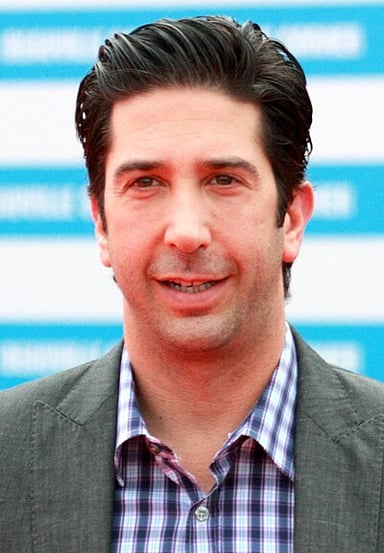 What is the city or country of David Schwimmer's birth?