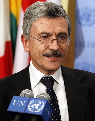 What was D'Alema's role from 2006 to 2008?