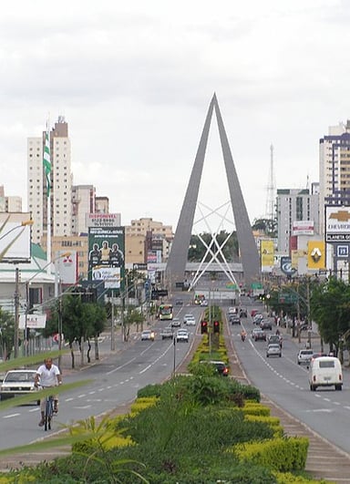 What is the approximate area of Goiânia?