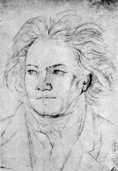 What is Ludwig Van Beethoven's native language?