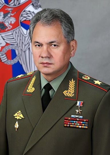 What ministry did Shoigu lead from 1991 to 2012?