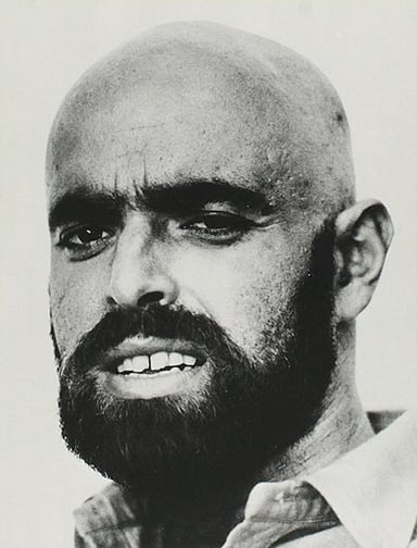 What are Shel Silverstein's most famous occupations?