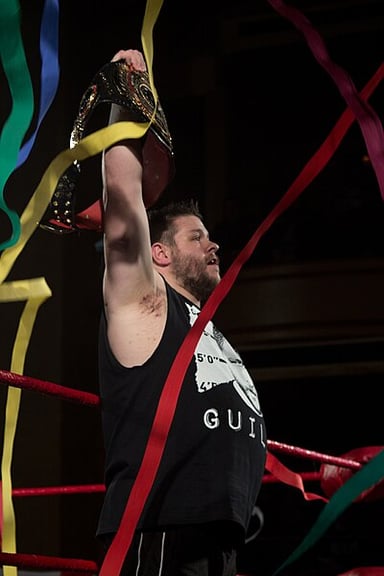 Which WWE championship did Kevin Owens win in May 2015?