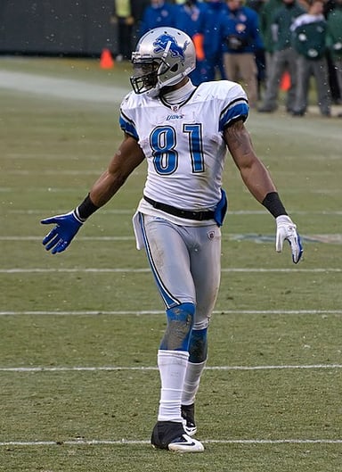 How many seasons did Calvin Johnson play in the NFL?