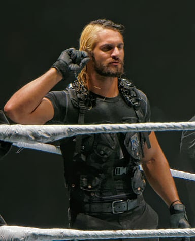 Which WWE event did Seth Rollins win in 2019?