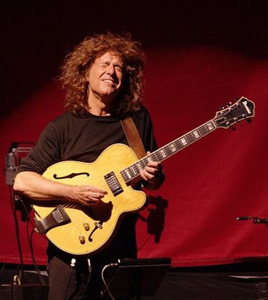 Which instrument company custom-built a 42-string guitar for Pat Metheny?