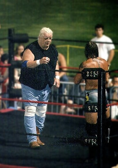 In what territory did Dusty Rhodes become a breakout star?