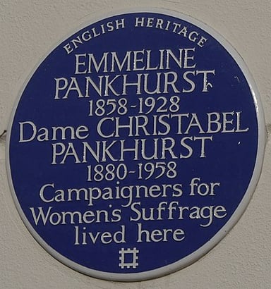 What did Emmeline do during the First World War?