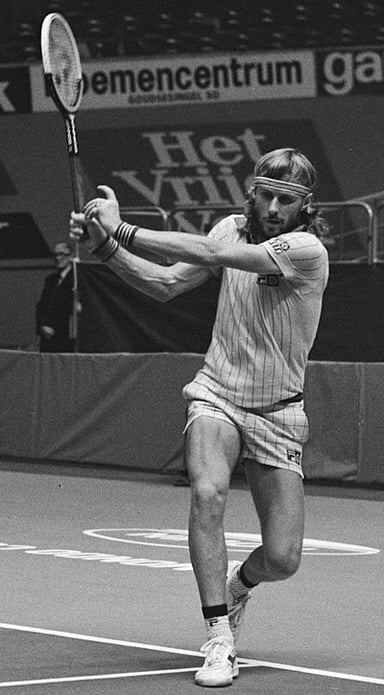 What is Björn Borg's full name?