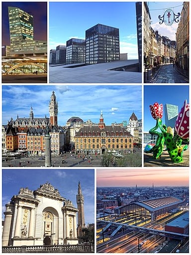 What is the main language spoken in Lille?